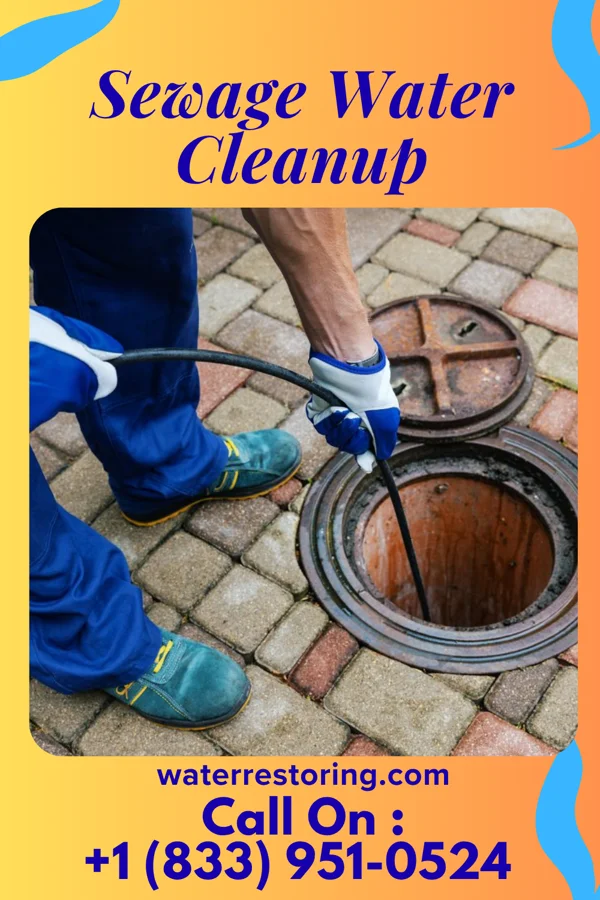 Sewage Water Cleanup in Warm Springs, CA